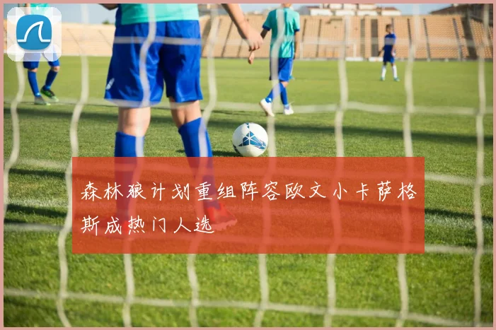 森林狼计划重组阵容欧文小卡萨格斯成热门人选