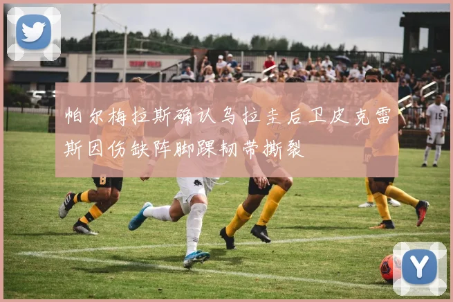 帕尔梅拉斯确认乌拉圭后卫皮克雷斯因伤缺阵脚踝韧带撕裂