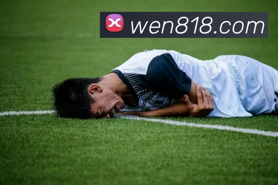 6686体育首页APP 封面图